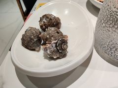 -大锅强·蒸海鲜青岛菜(金沙滩店)