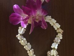 普吉岛爱维斯塔度假村-普吉岛卡塔阿维斯塔诺富特酒店度假村