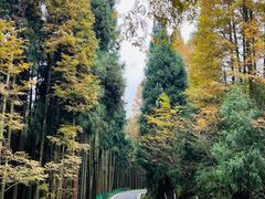-太阳湾风景区