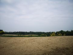 -东郊湿地公园