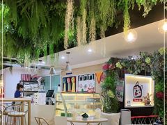 -Husky Go! 哈士奇体验馆·宠物咖啡厅狗咖