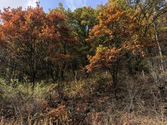 -道须沟旅游风景区