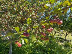 -永定河休闲森林公园