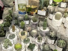 -循礼门鲜花花市(武汉循礼门店)