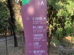 -浮来山风景区