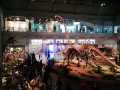 -自贡恐龙博物馆