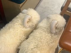-海马体照相馆(北京apm店)