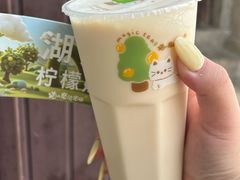 -猫的魔法密林(衣裳街店)