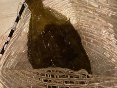 -ジャンボ釣船 つり吉(新世界店)