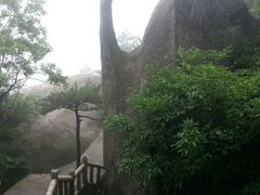 象鼻石-天柱山风景区