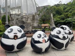 -石排湾郊野公园