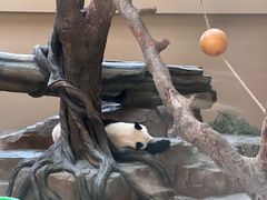 -宁波野生动物园