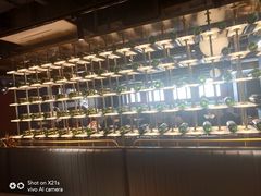 -斗牛士牛排(南京东路店)