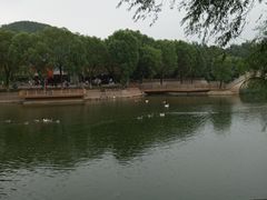 -石家庄市动物园