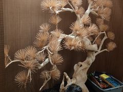 -花时·炭火烧肉(东百中心A馆店)