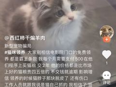 -万达影城(闵行颛桥万达广场杜比影院店)