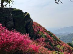 -木兰云雾山