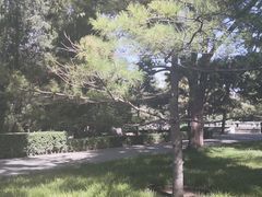 -玲珑塔公园