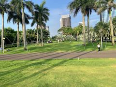 -阳台山森林公园