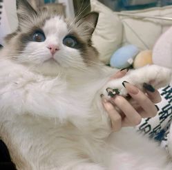 -Adore nail日式美甲美睫