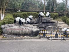-都江堰中华大熊猫苑