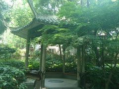 -华山儿童公园