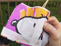 -史努比缤纷世界