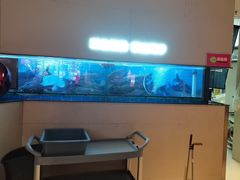 -老板恋上鱼(恒隆广场店)