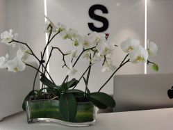 -AiCure 埃可儿·韩国医学皮肤管理