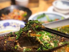 -树厨贵州菜(大十字店)