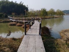 -杏花村文化旅游区