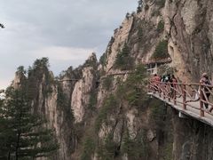 -老君山风景名胜区