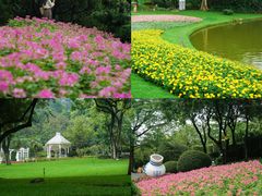 -广州市白云山风景名胜区