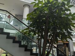 -旺顺阁鱼头泡饼(小红门店)