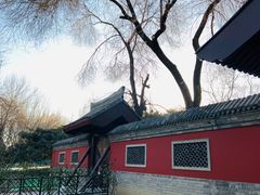 -元大都城垣遗址公园