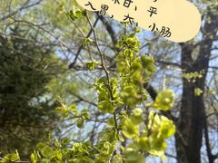-棋盘山风景区