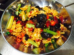 干锅鱿鱼-西北狼(GOGO新天地店)