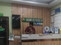-瑞鹏宠物医院·夜间急症·心超·猫科(祖庙分店)
