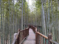 -陶祖圣境风景区