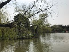 -南汇桃花村