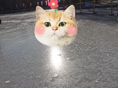 -团结湖公园