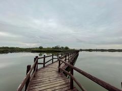 -西青郊野公园