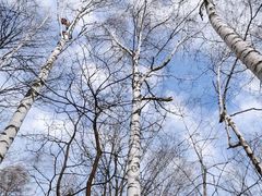 -长白山华美胜地滑雪场