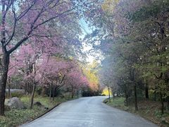 -天龙八部武侠城