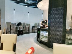 -虹桥机场国航贵宾室v8