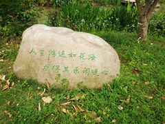 -鹅湖玫瑰文化园