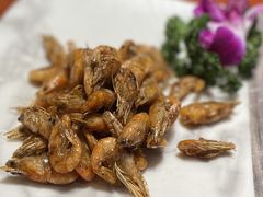 -浦江餐饮·上海菜馆(五四路店)