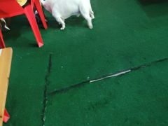 -云晓光头烧烤吧(川沙绿地店)