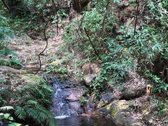 -羚羊峡古栈道森林公园