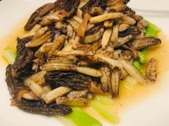 芦笋蟹腿肉-上海小南国(正大店)